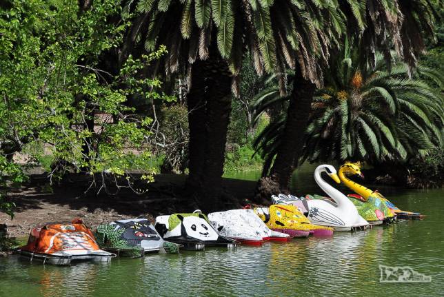Pedalinhos em lago do Parque Rodó, grande área verde na área entre o centro e Pocitos, em Montevideo, capital do Uruguai